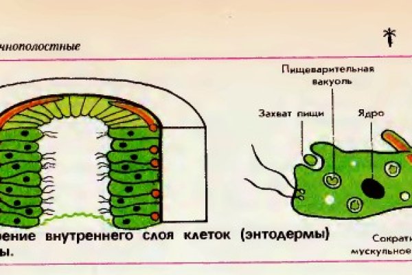 Сайты типа гидры