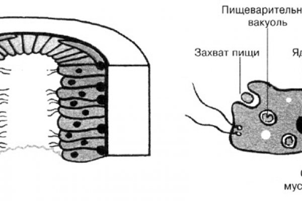 Кракен зеркало tor xn krakn 7ra com