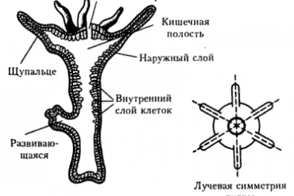 Сайты где купить наркотики